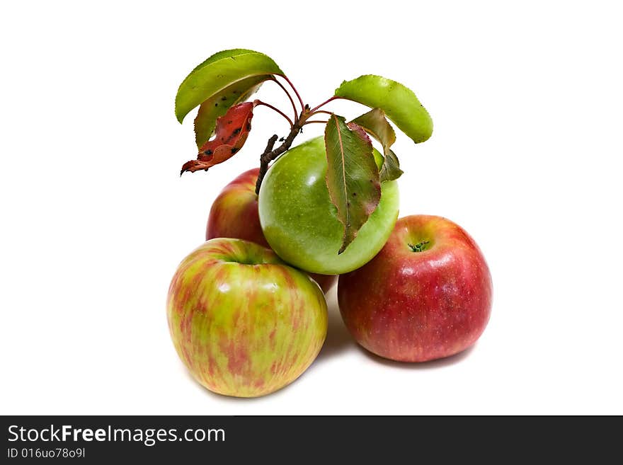 Gala and Granny Smith apples isolated on white