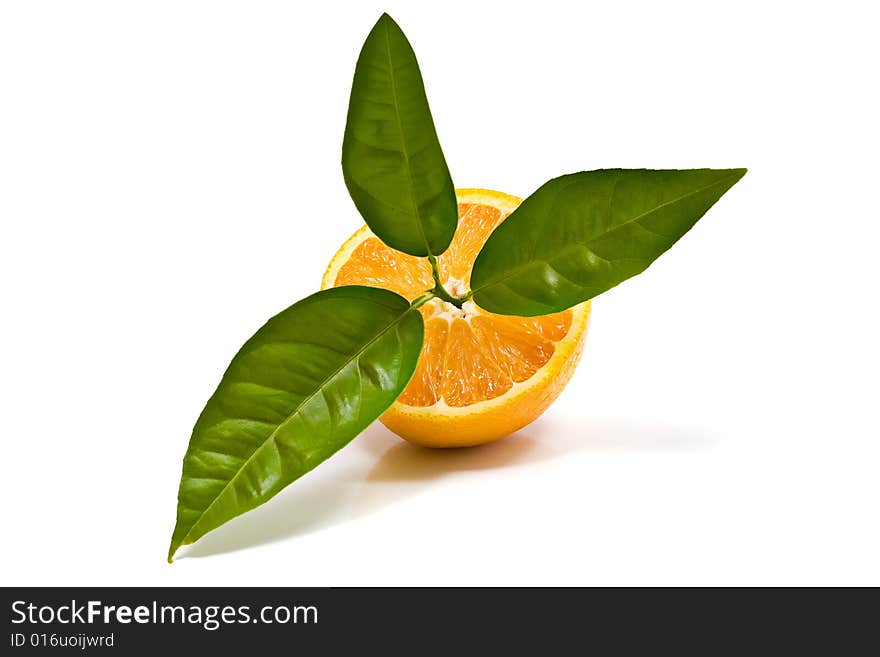 Oranges isolated on white