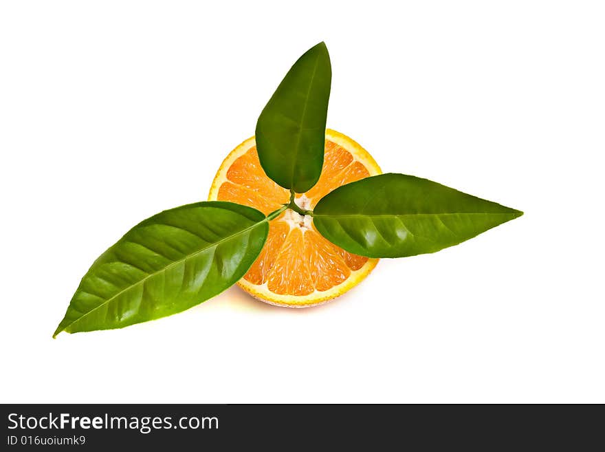 Oranges isolated on white