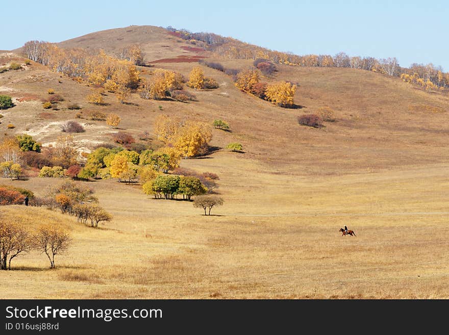 Autumnal landscape in Mulanweichang forest park in china. Autumnal landscape in Mulanweichang forest park in china.