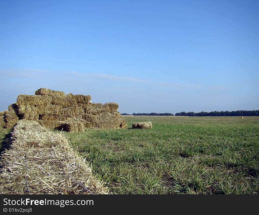 Stack Of Hay