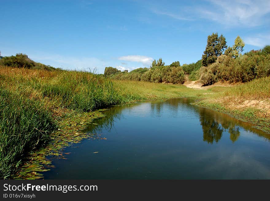 Summer Landscape.Israel.Lake.Day