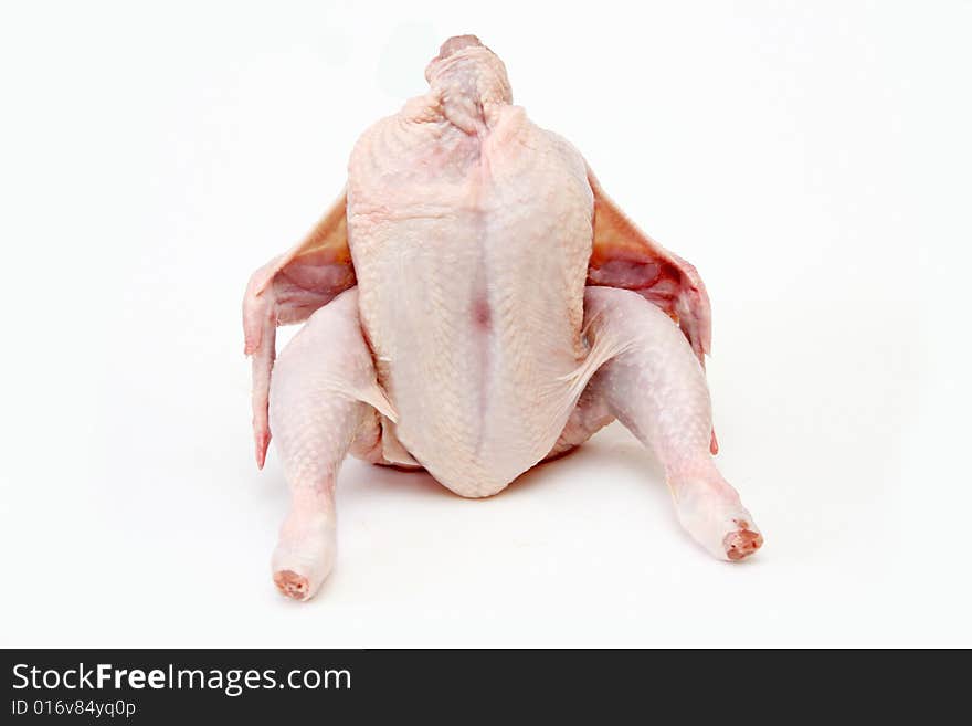 Chicken isolated on white background