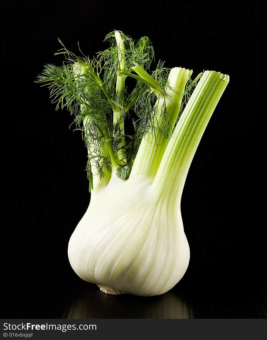 A fresh fennel on black background