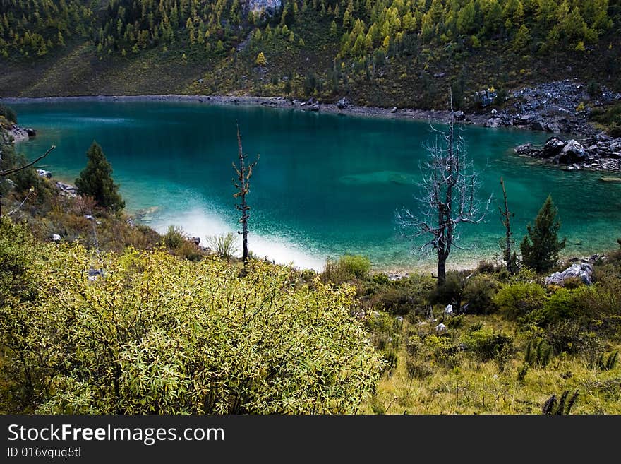 Beautiful lakes in the lake there is dense bush. Beautiful lakes in the lake there is dense bush