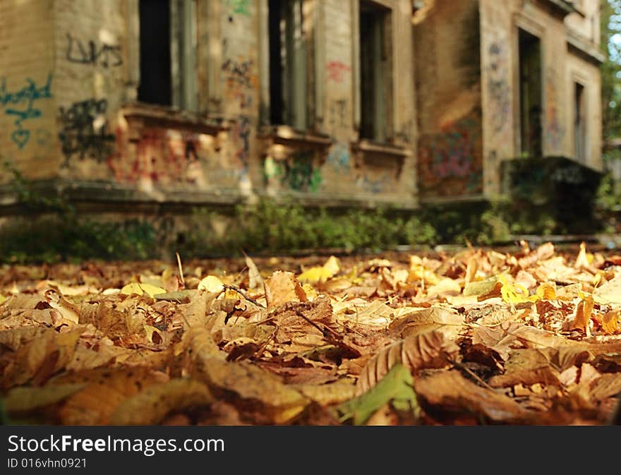 Autumn.Old house.Focus on a foreground.Shallow DOF.