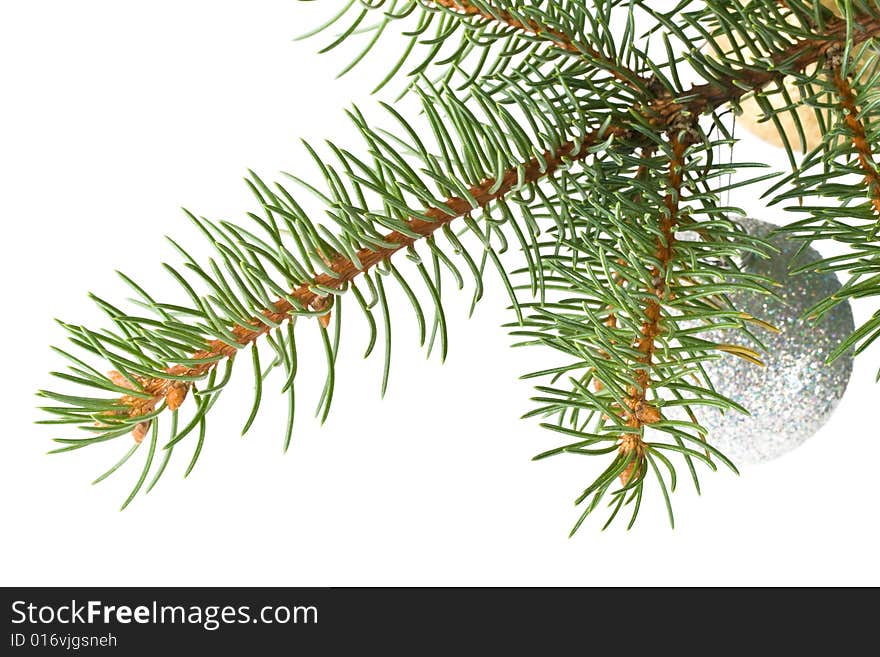 Fir tree branch with decoration on a white background. Close up. Christmas decoration.