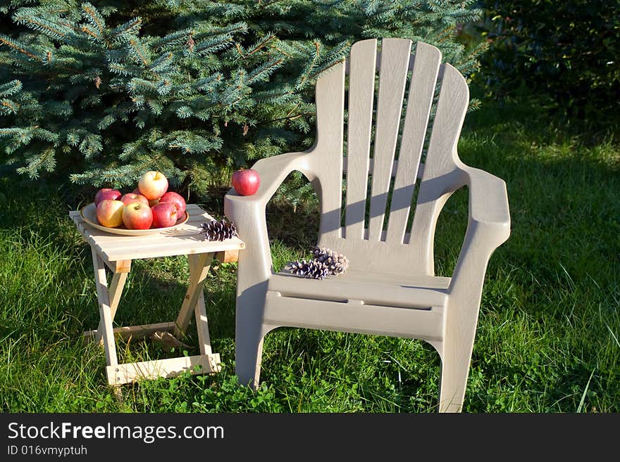 Lounge chair beside an evergreen tree. Wooden table with plate of Gala apples. Lounge chair beside an evergreen tree. Wooden table with plate of Gala apples.