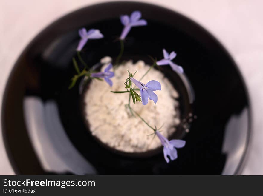 Small blue flower in a black round vase