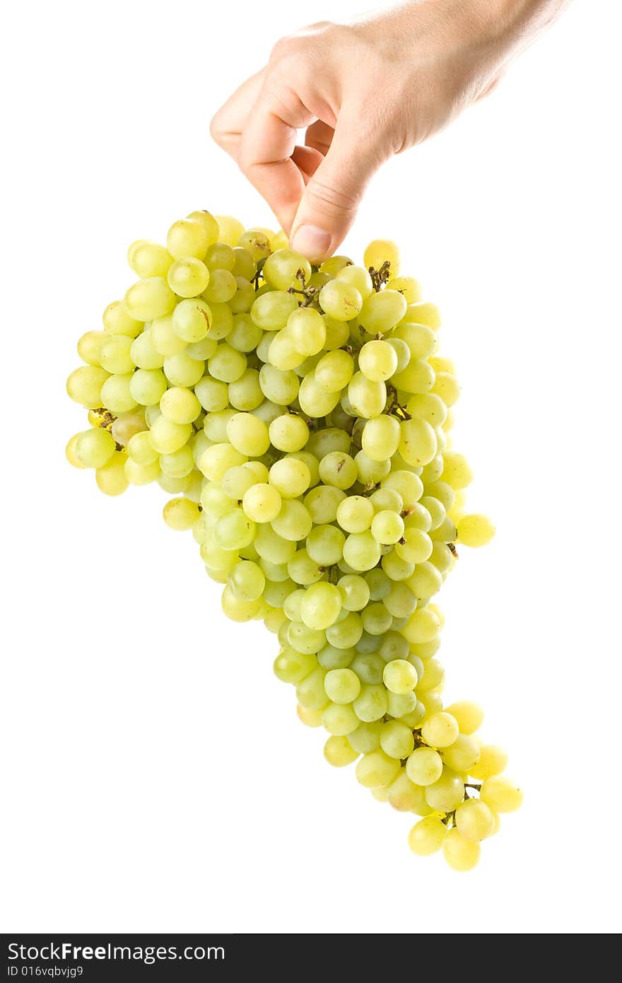 Fresh grapes