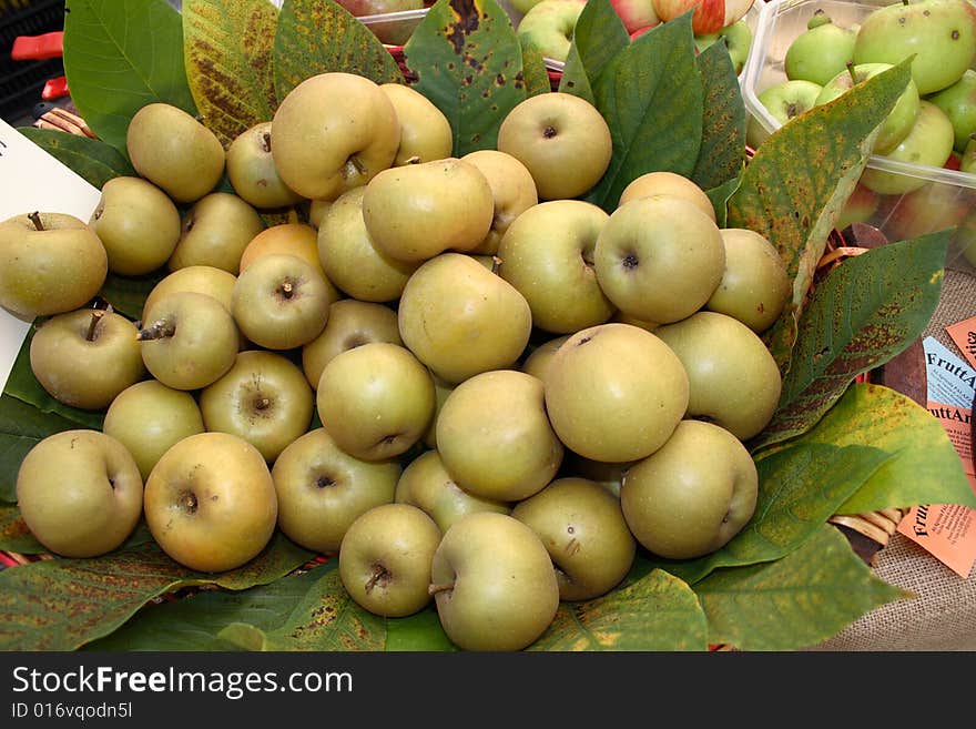 Inside of the basket containing mature apples