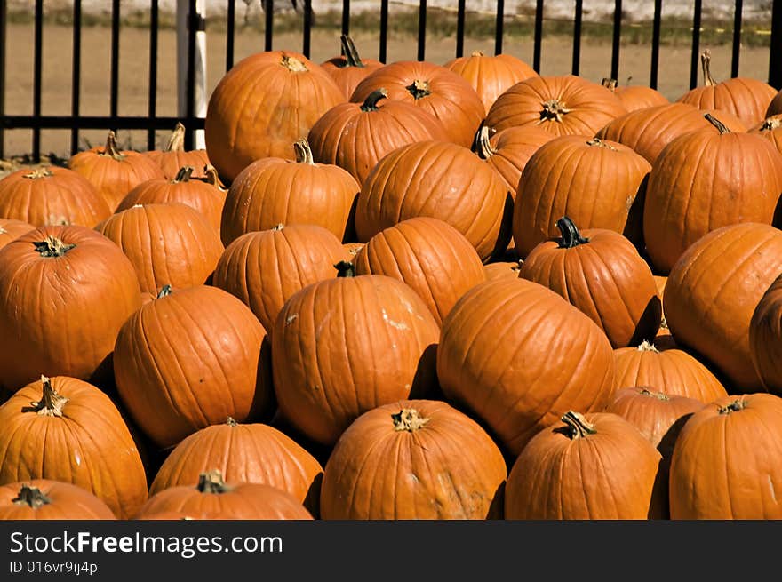 Bright orange pumpkins stacked ready for delivery.