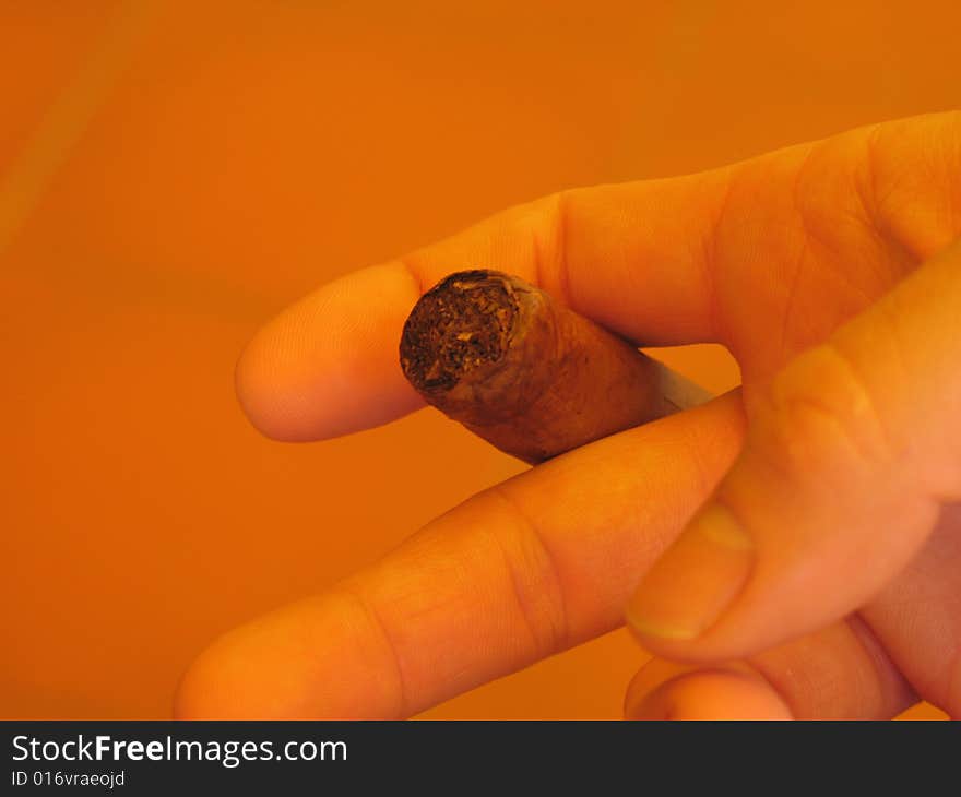 A male hand holding a fat cuban cigar