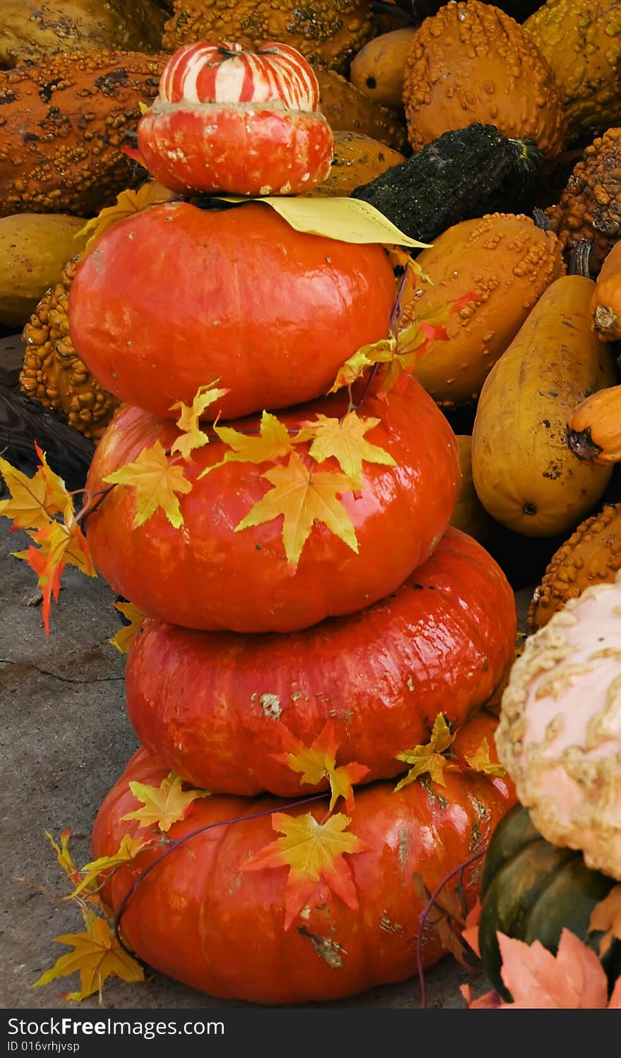 Fall pumpkins stacked and surrounded by fall leaves. Fall pumpkins stacked and surrounded by fall leaves.