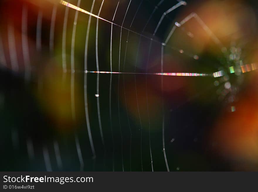 Abstract blurred spiderweb colorful background