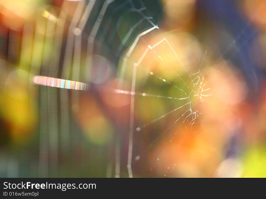 Abstract blurred spiderweb colorful background