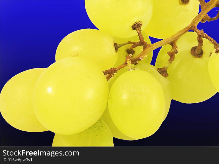 Mature bunch of white grapes