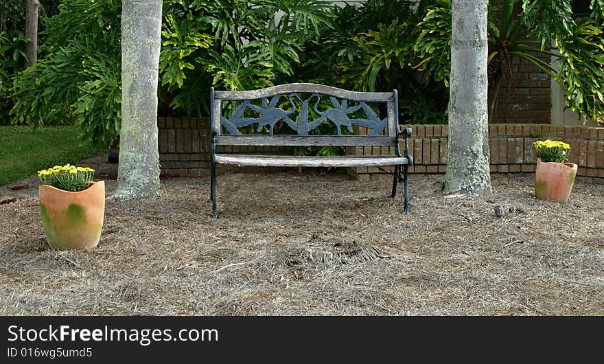 Photo of a Park bench under two palm trees. Photo of a Park bench under two palm trees