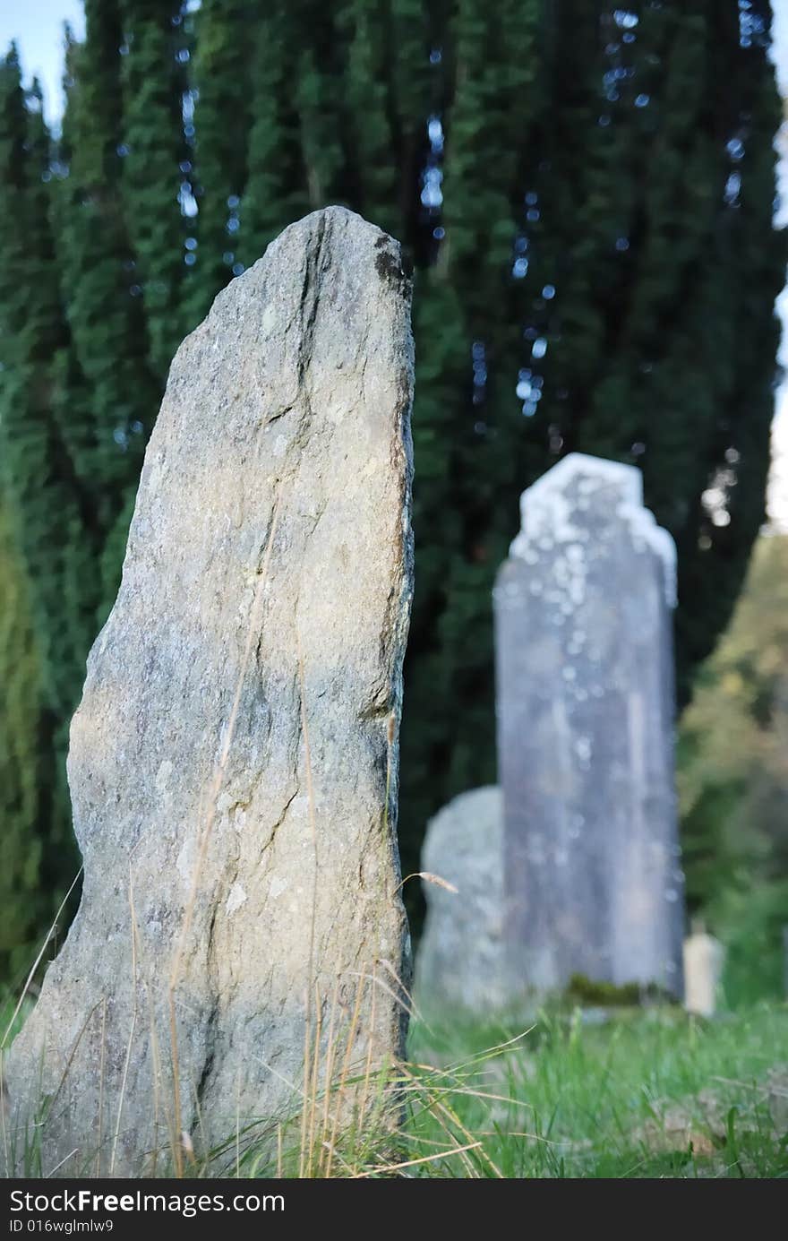 Old gravestones in grass with trees in background. Old gravestones in grass with trees in background