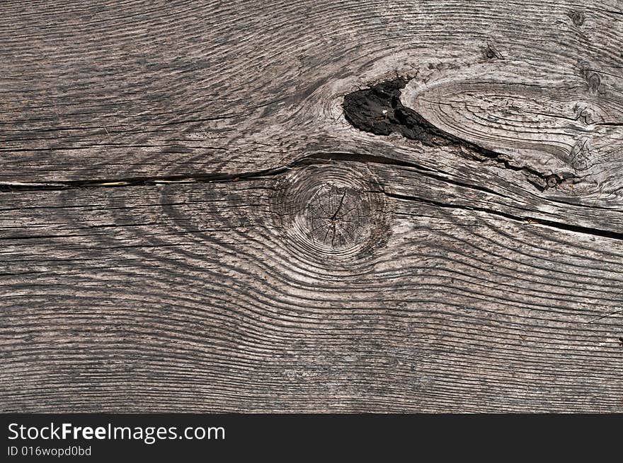 Close up shot of an old wood texture. Close up shot of an old wood texture.