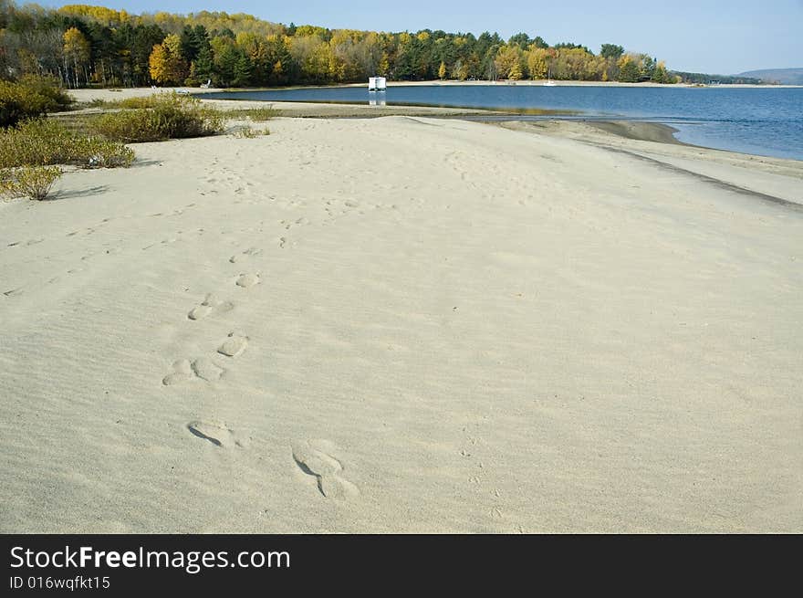 Some footprints in the sand across a beach