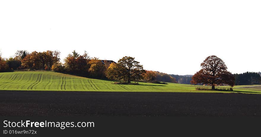 Autumn Landscape