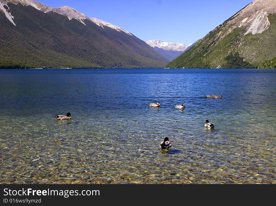 Pure Lake Rotoiti (2)