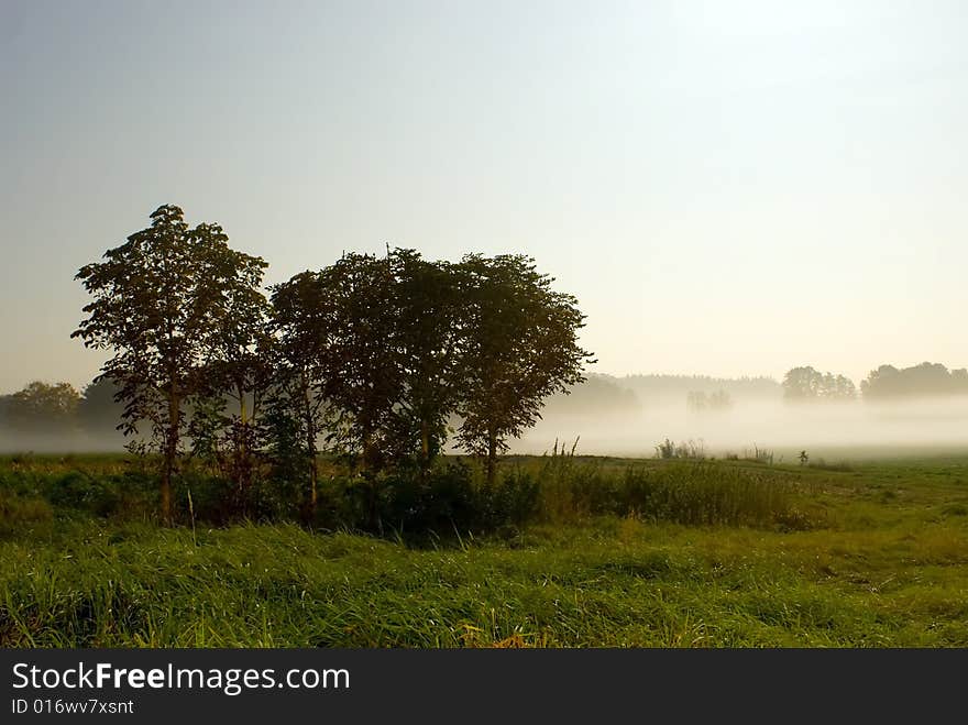 A shot of a foggy landscape in the earkly morning