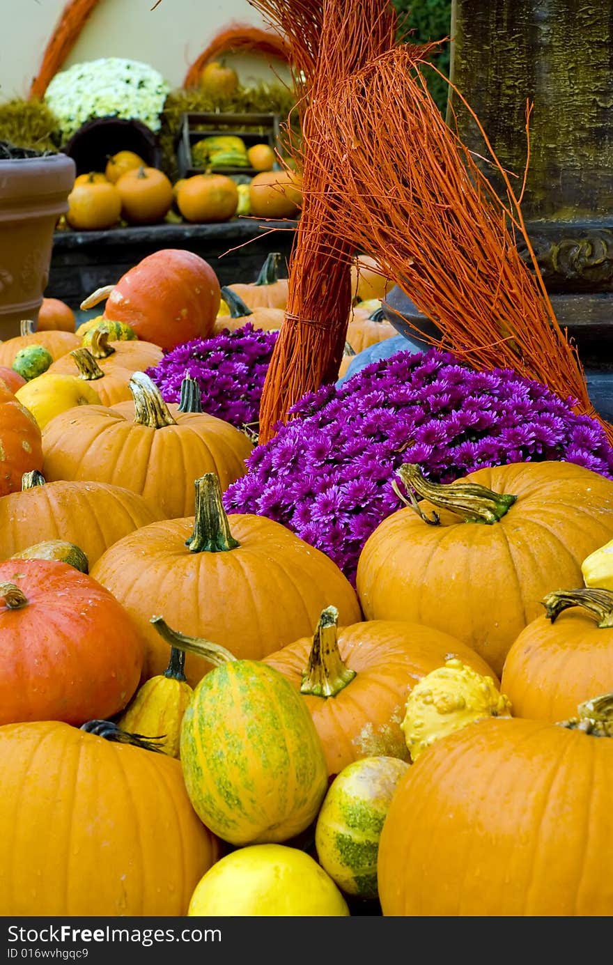 A Autumn Still life with many pumpkins and flowers