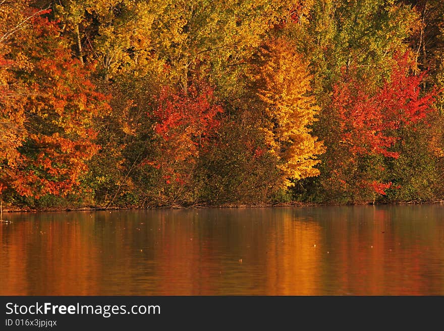 Autumn leaves on fire