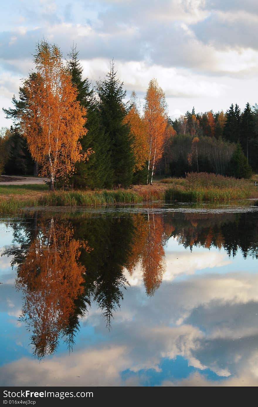 Autumn reflexion