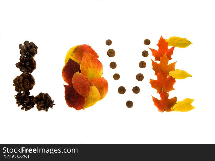 The word love spelled out in colored leafs. Isolated on a white  background.