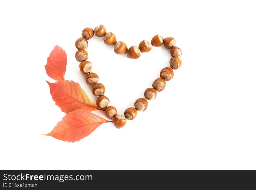 Nats and leaves isolated on a white background. Nats and leaves isolated on a white background.