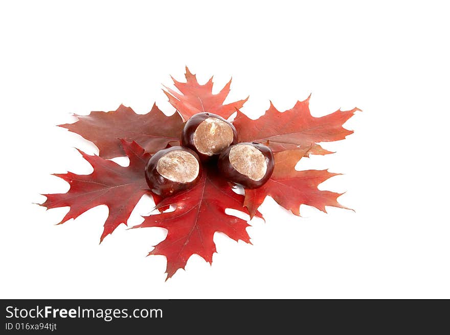 Three chestnuts and leaves isolated on a white background. Three chestnuts and leaves isolated on a white background.