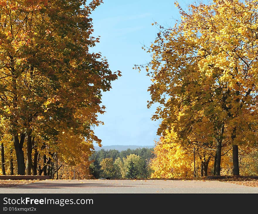 Golden Autumn