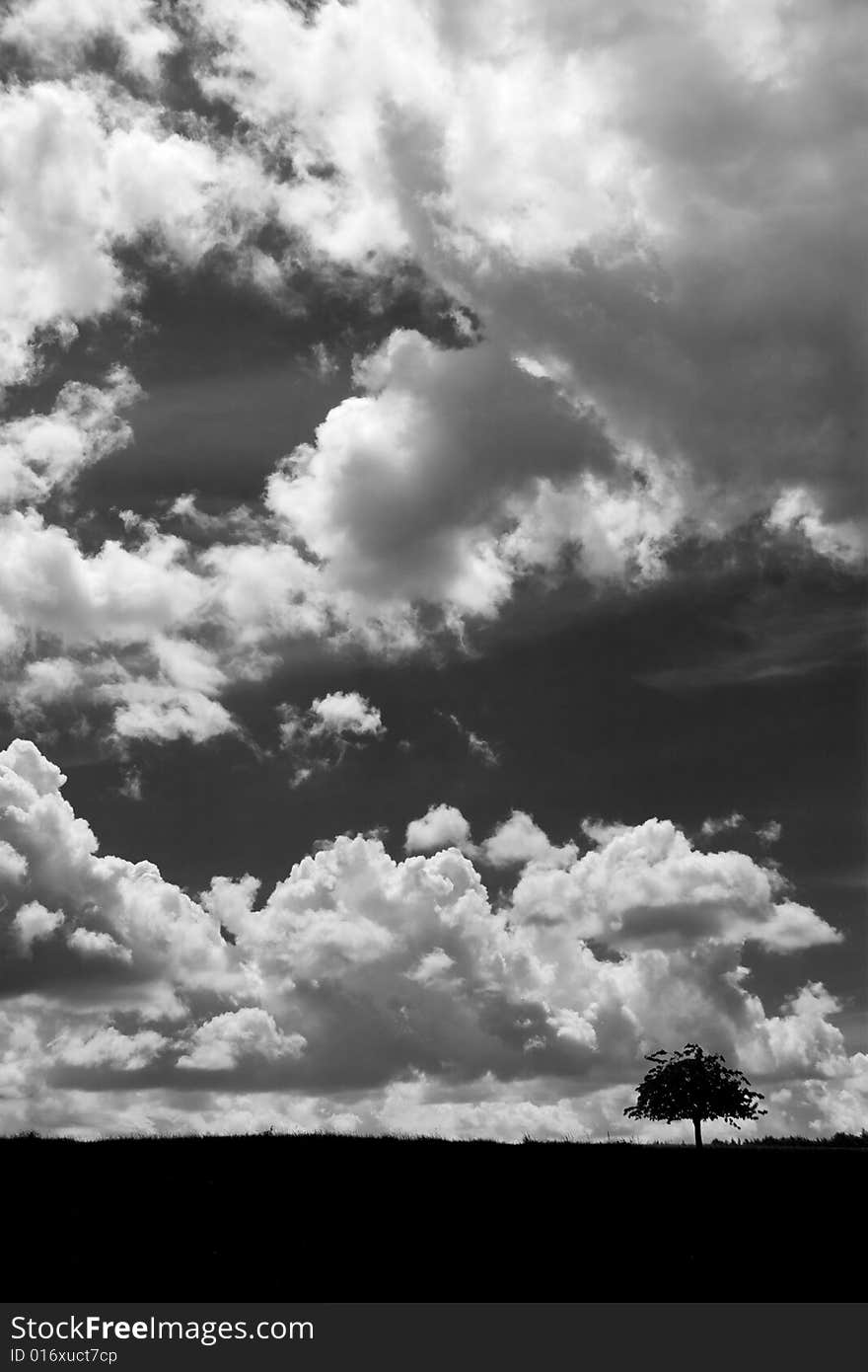 Thunderclouds over solitary tree in summertime