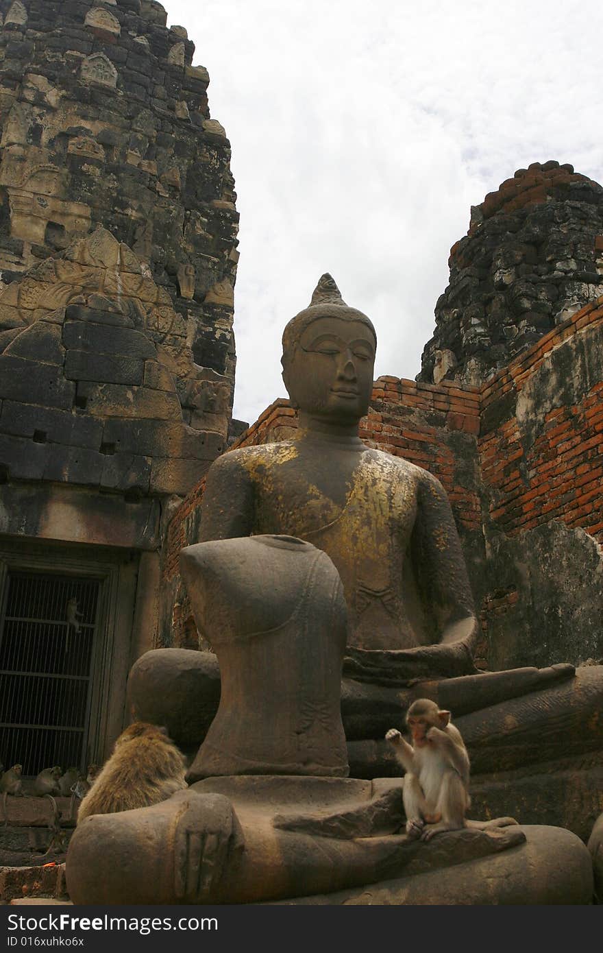 Monkeys  in an old city in Thailand. Monkeys  in an old city in Thailand