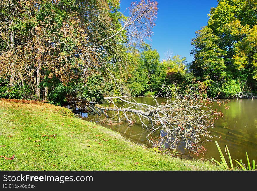 Pictorial landscape - with river and forest. Pictorial landscape - with river and forest