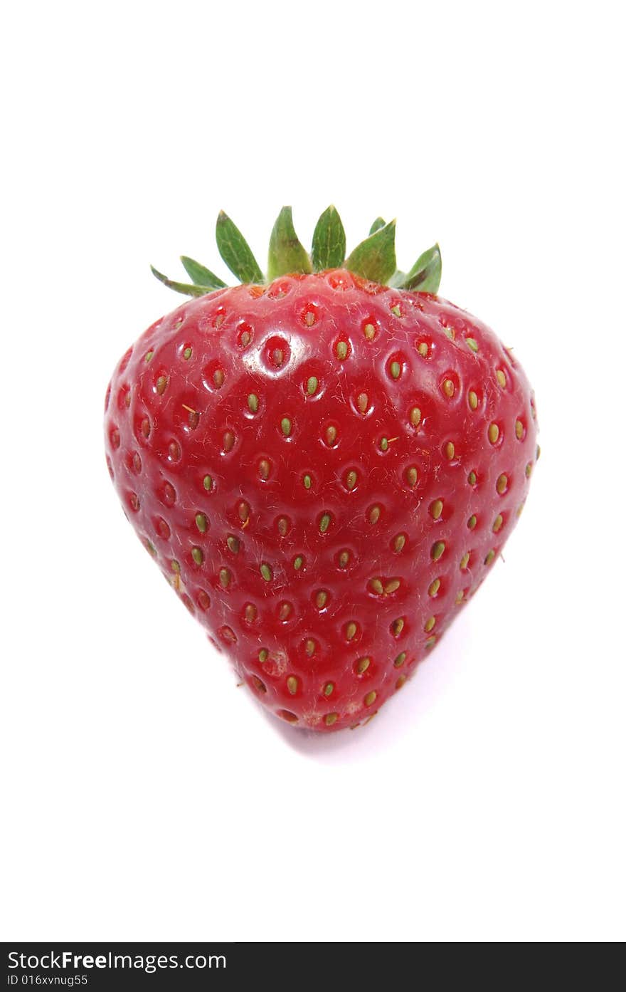 Close up of a big fresh juicy red strawberry. Close up of a big fresh juicy red strawberry