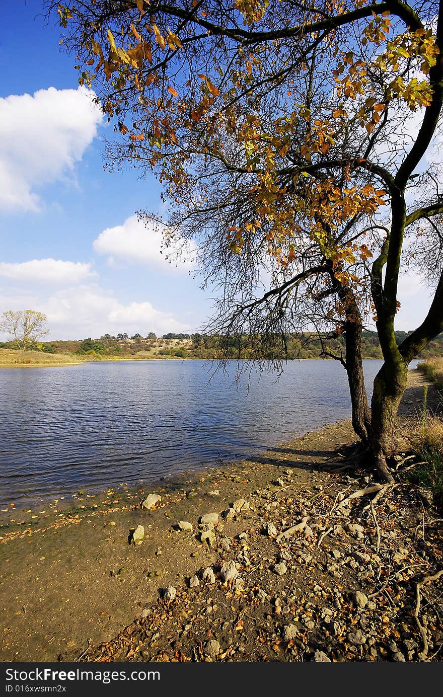 Autumn landscape