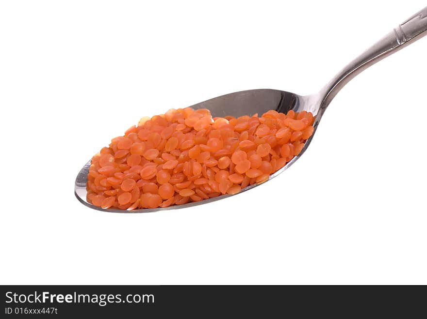 Red Lentil