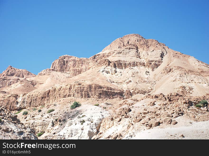 Negev Desert