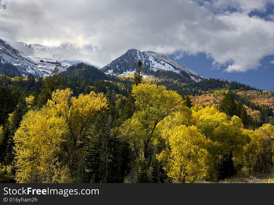 High Mountain Flat in the fall showing all the fall colors with mountains in the background. High Mountain Flat in the fall showing all the fall colors with mountains in the background