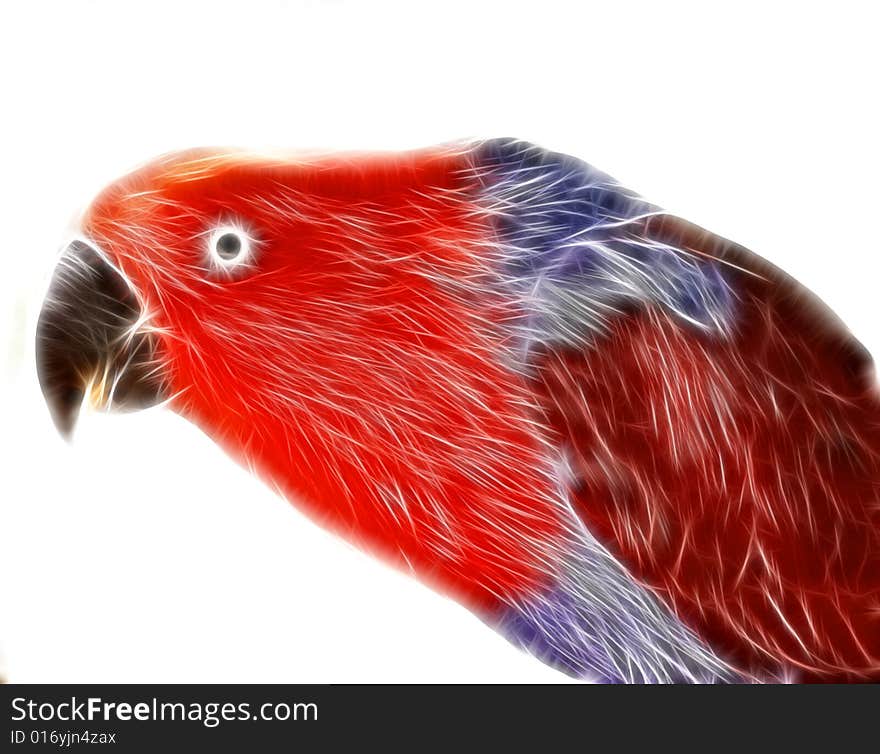 Digital Red Arara (macaw)