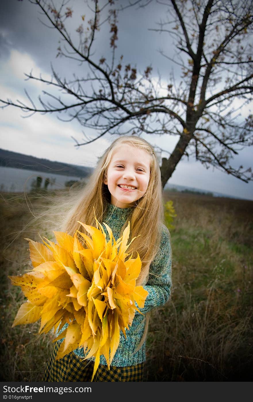 Smiling little girl with autumn leaves. Smiling little girl with autumn leaves