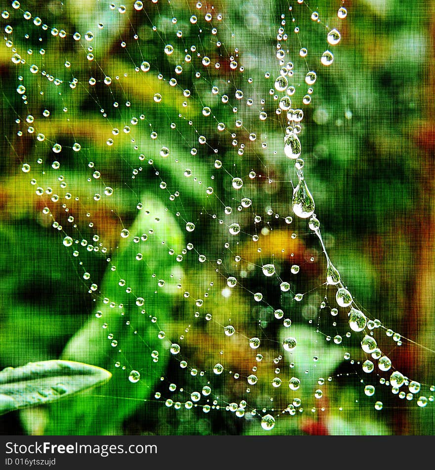 Spider web heavy with morning dew against green foliage and added background textures. Spider web heavy with morning dew against green foliage and added background textures