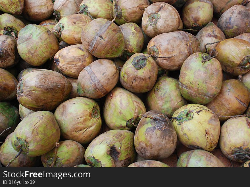 The raw green and brown coconut fruit  pile background. The raw green and brown coconut fruit  pile background.