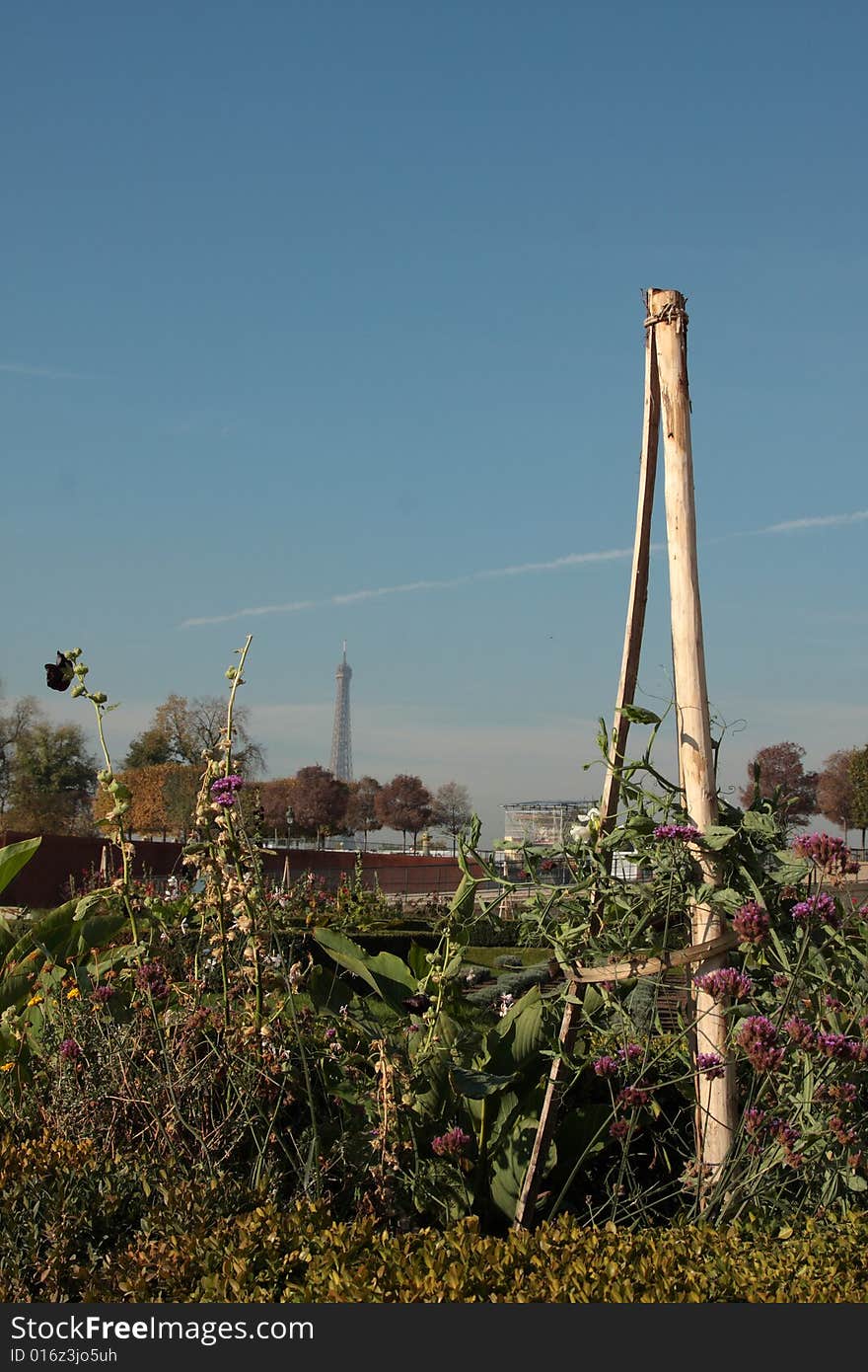 Tuilleries Gardens with Eiffel tower in background