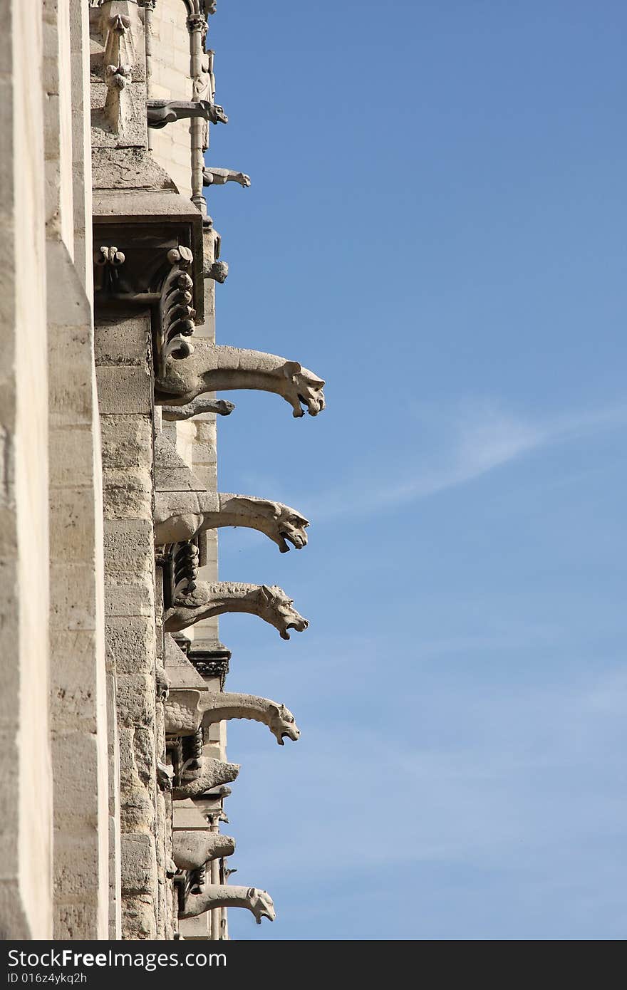 The Gargoyles of Notre Dame