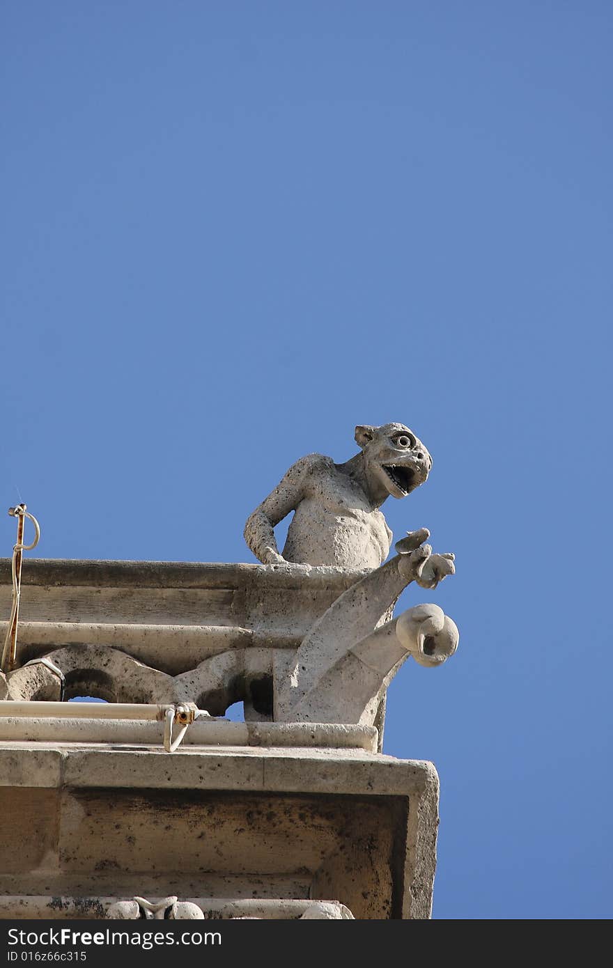 The Gargoyles of Notre Dame Cathedral, Paris